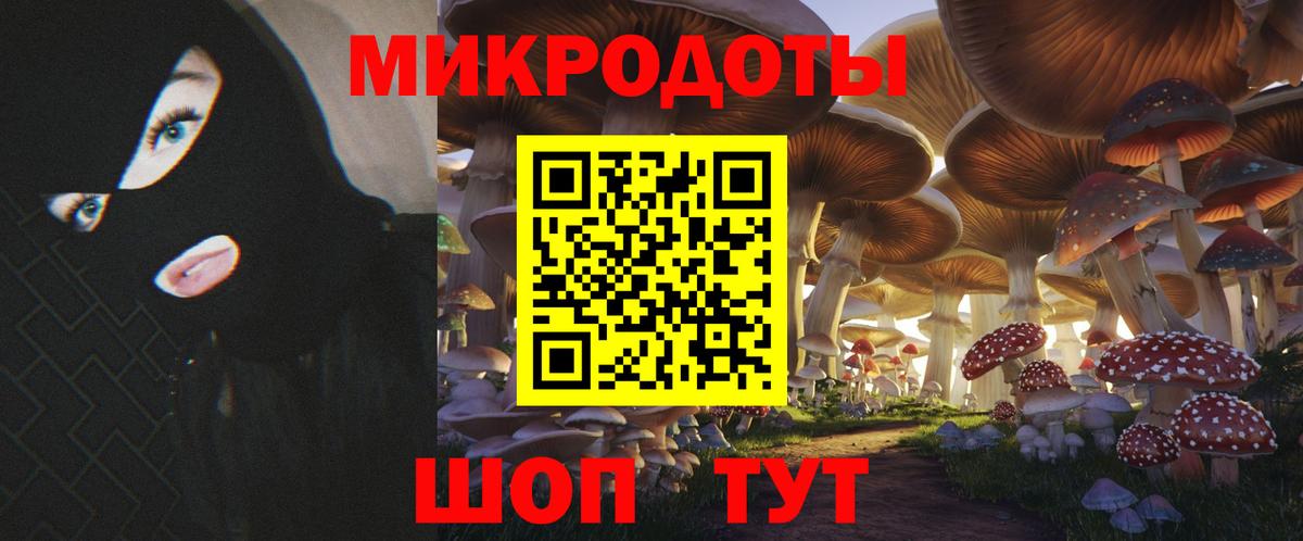 Псилоцибиновые грибы GOLDEN TEACHER  купить закладку  Галлюциногенные грибы ЛСД  Свободный  Вход с VPN 